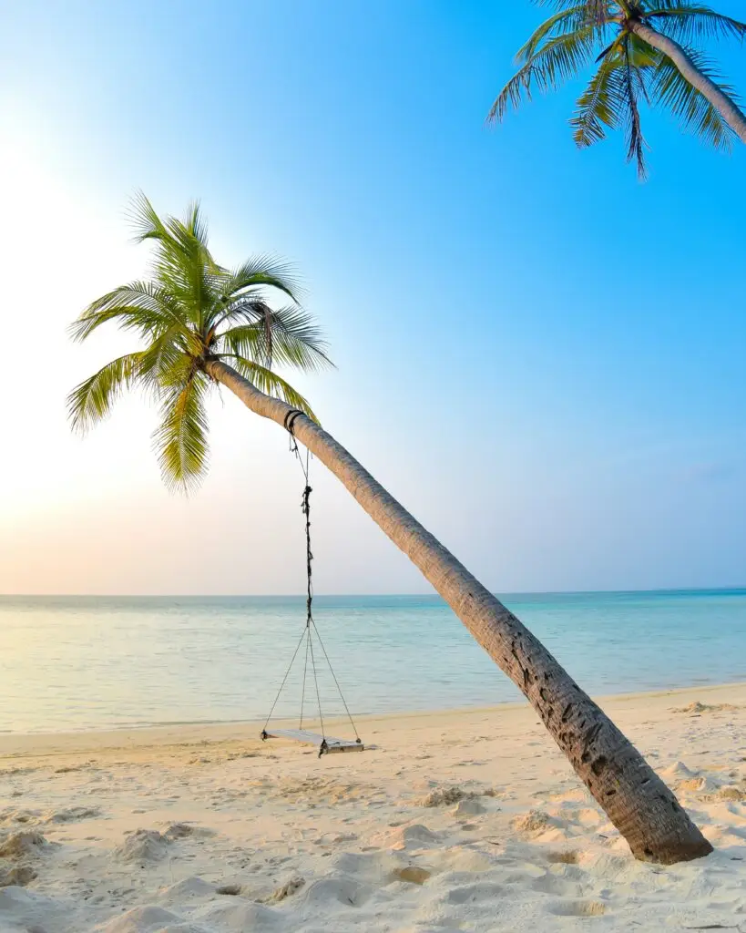 Relaxing beach lifestyle supported by liver health and weight loss
